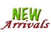 New Arrivals New Arrivals